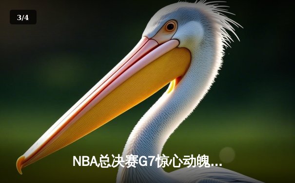 NBA总决赛G7惊心动魄，丹佛掘金加时险胜波士顿凯尔特人卫冕成功 - 3