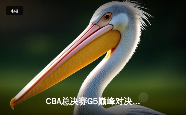 CBA总决赛G5巅峰对决：辽宁本钢加时险胜广东宏远，成功卫冕总冠军 - 4